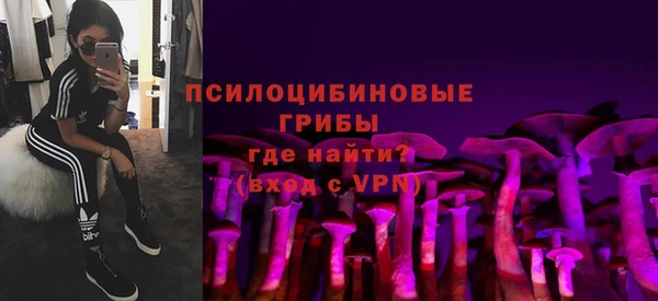 spice Магадан