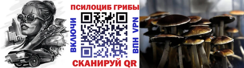 наркота  Мегион  Псилоцибиновые грибы ЛСД 