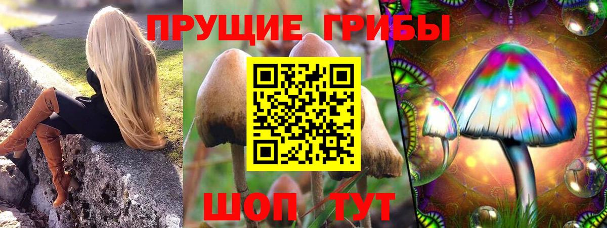 Псилоцибиновые грибы Psilocybe  Вход с VPN  Псилоцибиновые грибы Magic Shrooms  Мегион 