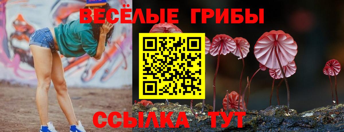 Псилоцибиновые грибы ЛСД Мегион
